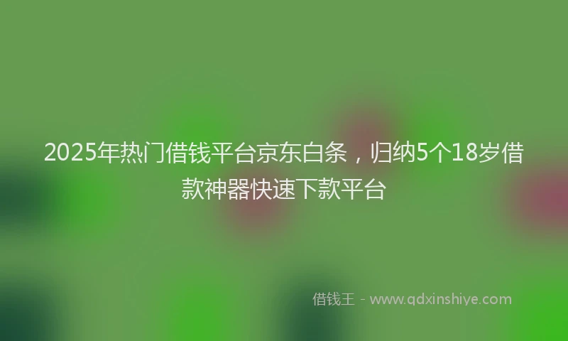 2025年热门借钱平台京东白条，归纳5个18岁借款神器快速下款平台
