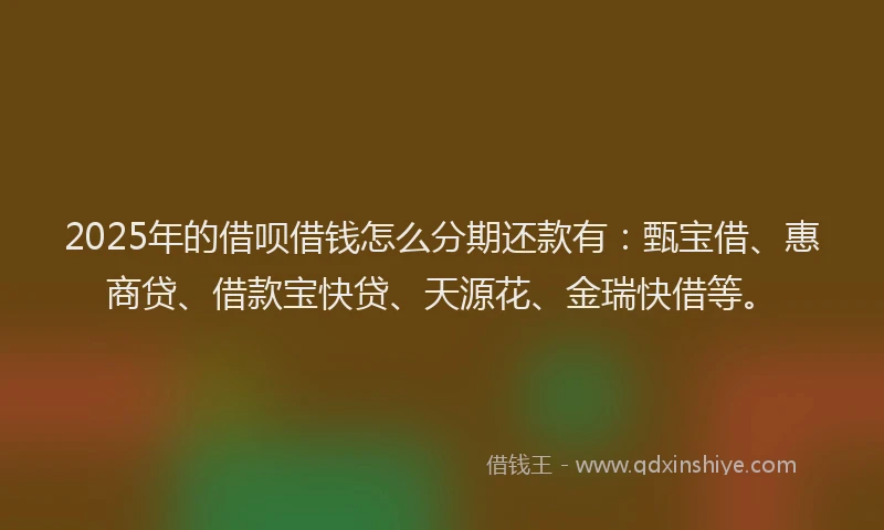 2025年的借呗借钱怎么分期还款有：甄宝借、惠商贷、借款宝快贷、天源花、金瑞快借等。