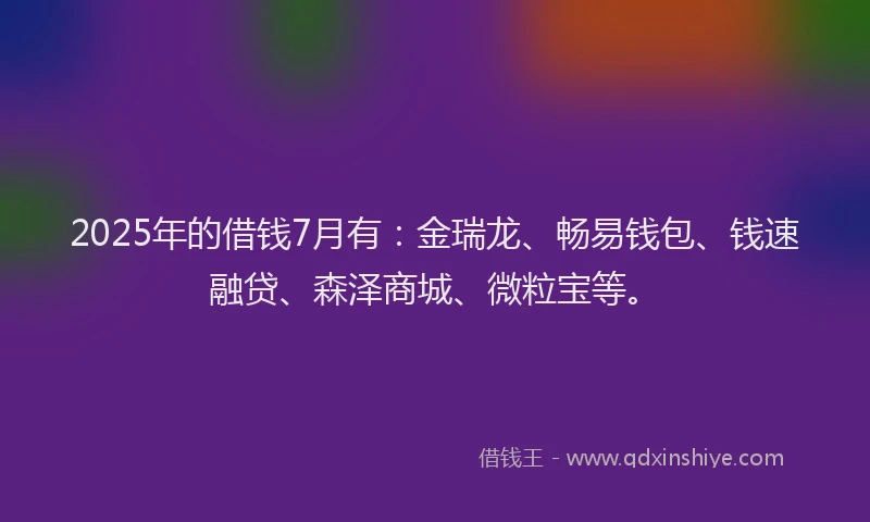 2025年的借钱7月有：金瑞龙、畅易钱包、钱速融贷、森泽商城、微粒宝等。