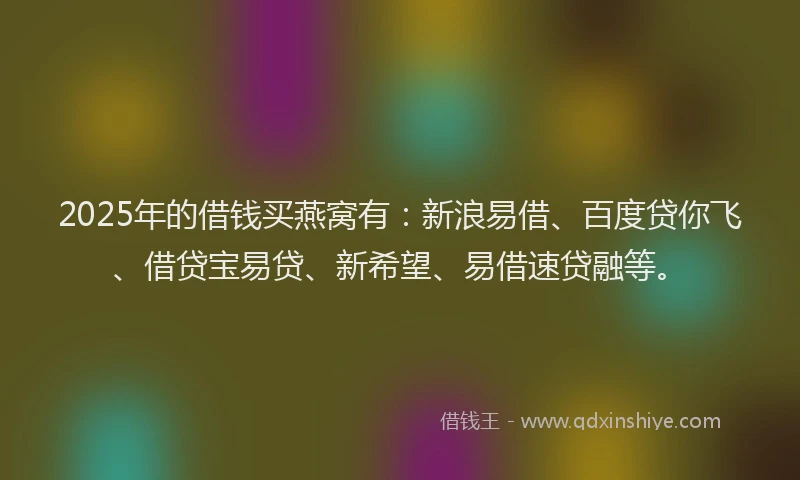 2025年的借钱买燕窝有：新浪易借、百度贷你飞、借贷宝易贷、新希望、易借速贷融等。