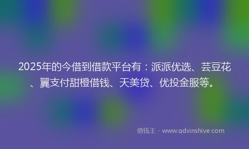 2025年的今借到借款平台有：派派优选、芸豆花、翼支付甜橙借钱、天美贷、优投金服等。