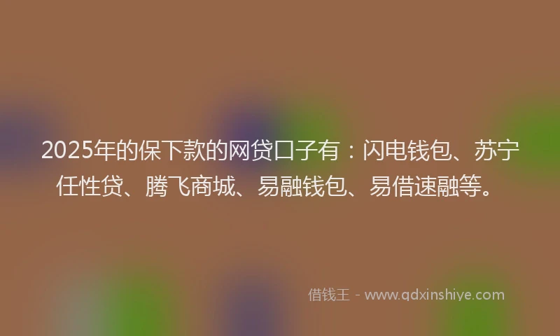 2025年的保下款的网贷口子有：闪电钱包、苏宁任性贷、腾飞商城、易融钱包、易借速融等。
