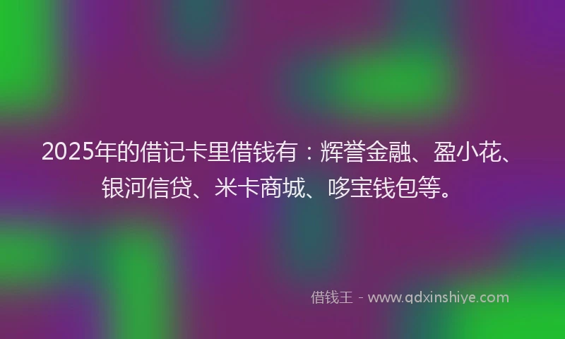 2025年的借记卡里借钱有：辉誉金融、盈小花、银河信贷、米卡商城、哆宝钱包等。