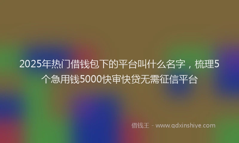 2025年热门借钱包下的平台叫什么名字，梳理5个急用钱5000快审快贷无需征信平台