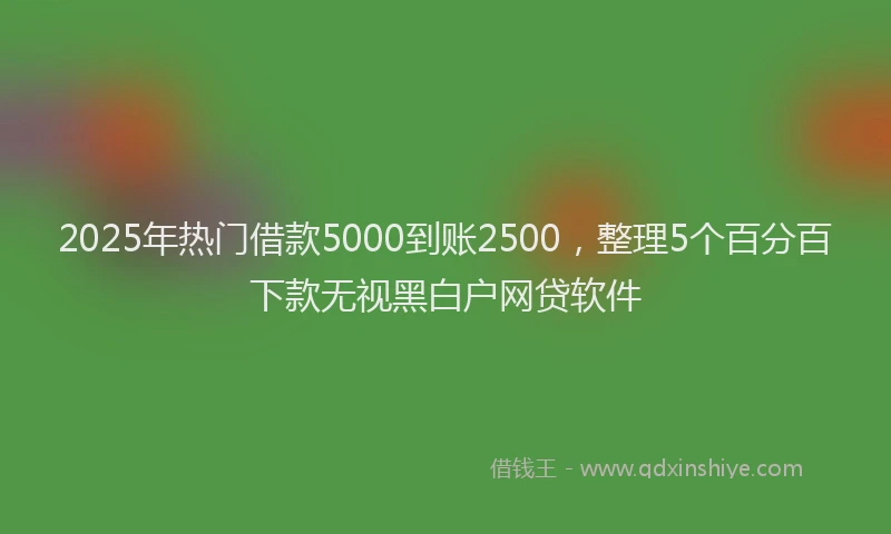2025年热门借款5000到账2500，整理5个百分百下款无视黑白户网贷软件