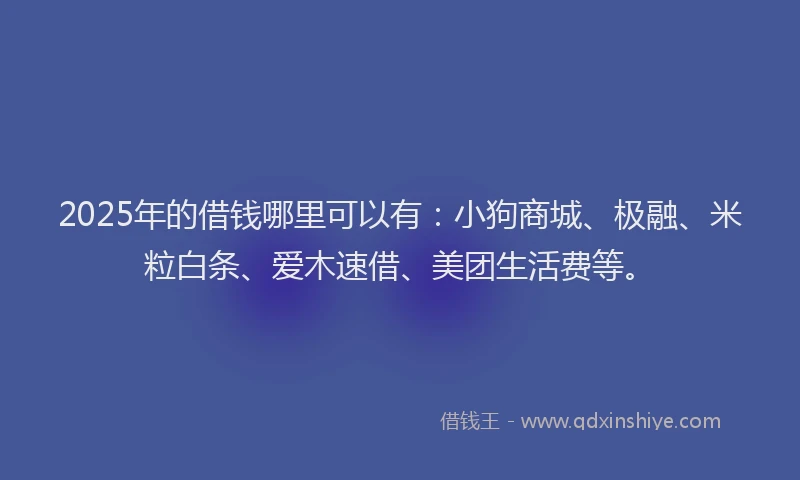 2025年的借钱哪里可以有：小狗商城、极融、米粒白条、爱木速借、美团生活费等。