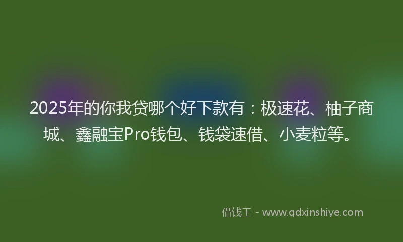 2025年的你我贷哪个好下款有：极速花、柚子商城、鑫融宝Pro钱包、钱袋速借、小麦粒等。