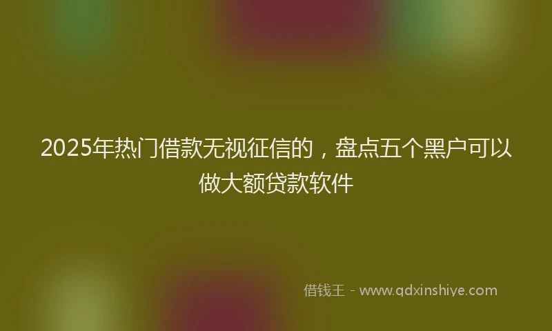 2025年热门借款无视征信的，盘点五个黑户可以做大额贷款软件