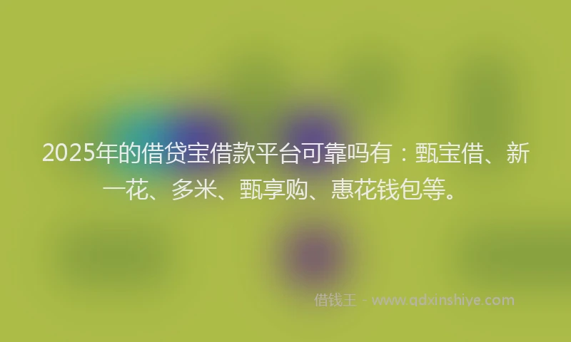 2025年的借贷宝借款平台可靠吗有：甄宝借、新一花、多米、甄享购、惠花钱包等。
