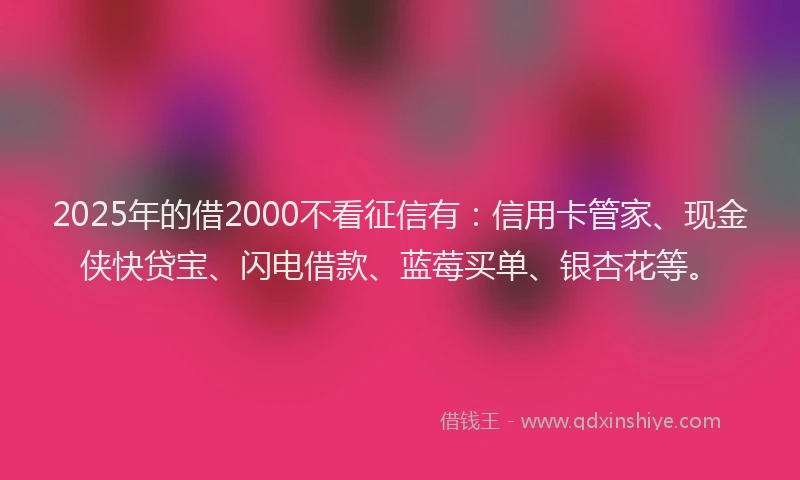 2025年的借2000不看征信有：信用卡管家、现金侠快贷宝、闪电借款、蓝莓买单、银杏花等。