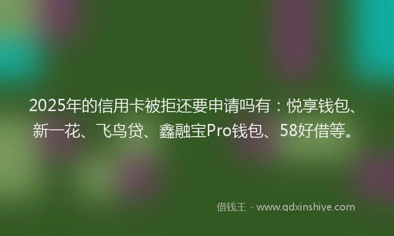 2025年的信用卡被拒还要申请吗有：悦享钱包、新一花、飞鸟贷、鑫融宝Pro钱包、58好借等。