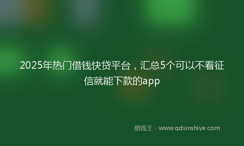 2025年热门借钱快贷平台，汇总5个可以不看征信就能下款的app
