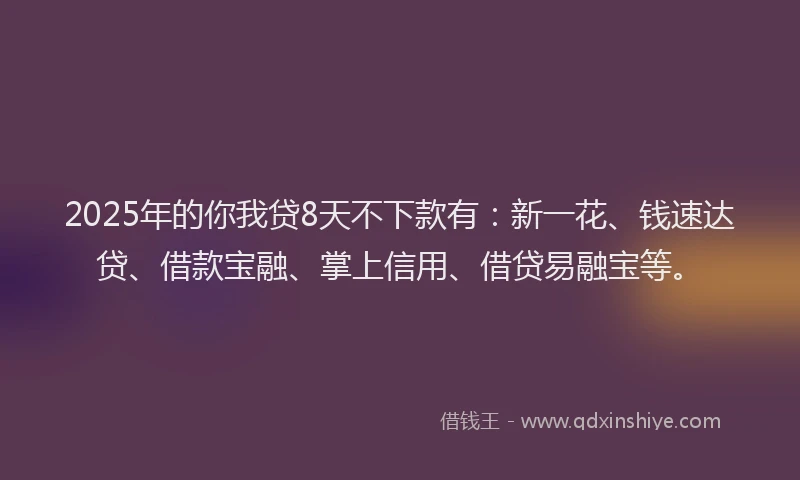 2025年的你我贷8天不下款有：新一花、钱速达贷、借款宝融、掌上信用、借贷易融宝等。
