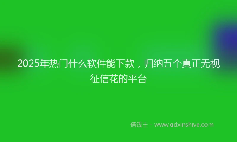 2025年热门什么软件能下款，归纳五个真正无视征信花的平台