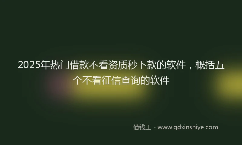 2025年热门借款不看资质秒下款的软件，概括五个不看征信查询的软件