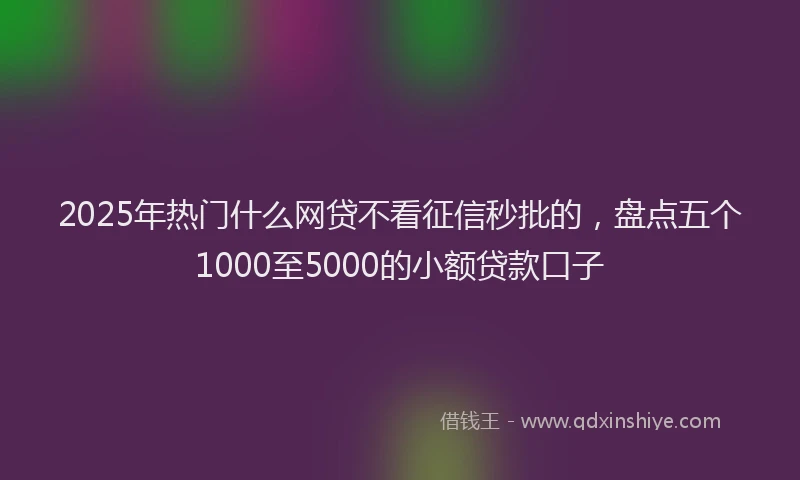 2025年热门什么网贷不看征信秒批的，盘点五个1000至5000的小额贷款口子