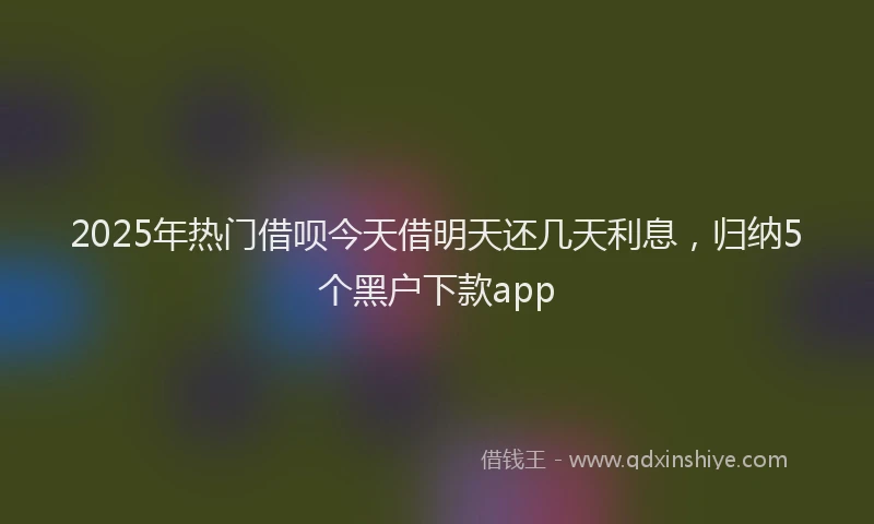 2025年热门借呗今天借明天还几天利息，归纳5个黑户下款app