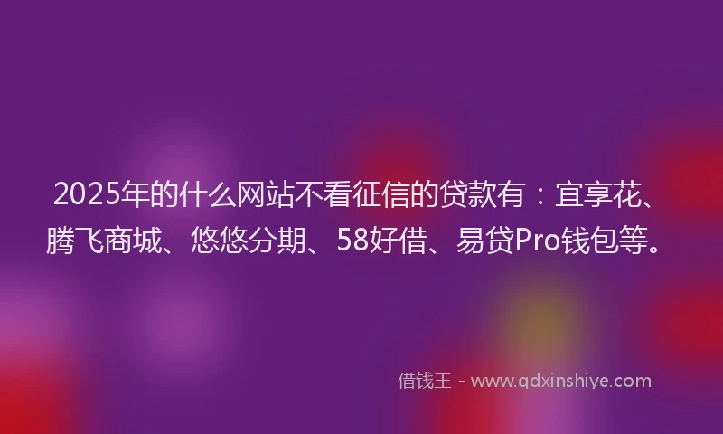 2025年的什么网站不看征信的贷款有：宜享花、腾飞商城、悠悠分期、58好借、易贷Pro钱包等。