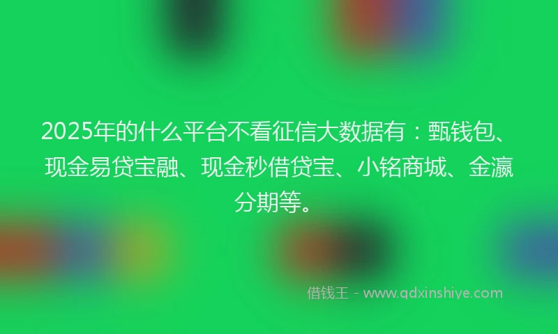 2025年的什么平台不看征信大数据有：甄钱包、现金易贷宝融、现金秒借贷宝、小铭商城、金瀛分期等。