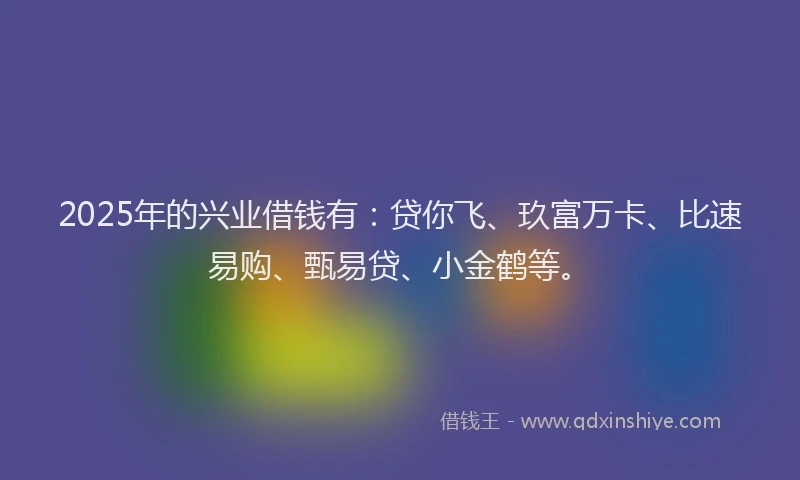 2025年的兴业借钱有：贷你飞、玖富万卡、比速易购、甄易贷、小金鹤等。