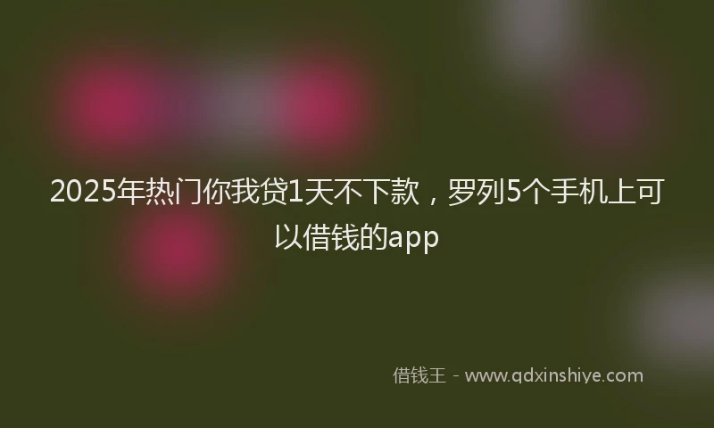 2025年热门你我贷1天不下款，罗列5个手机上可以借钱的app