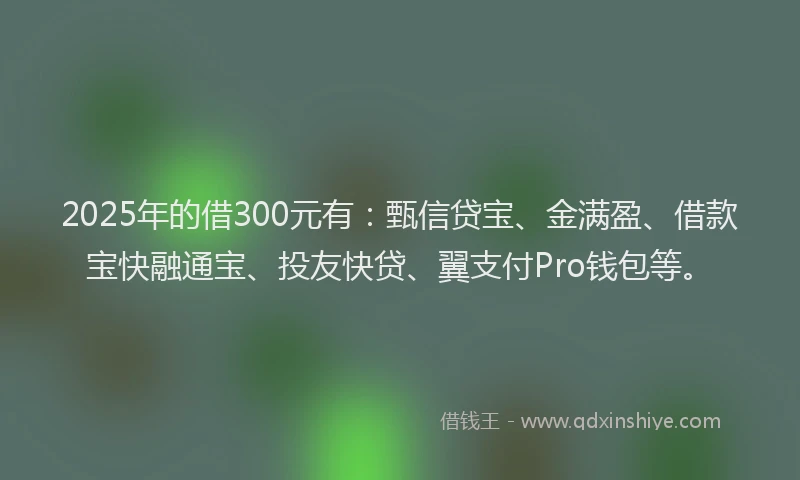 2025年的借300元有：甄信贷宝、金满盈、借款宝快融通宝、投友快贷、翼支付Pro钱包等。