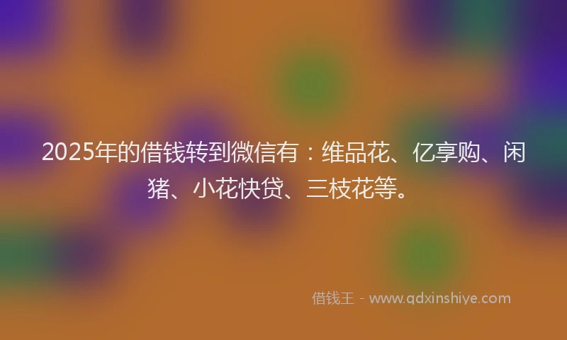 2025年的借钱转到微信有：维品花、亿享购、闲猪、小花快贷、三枝花等。