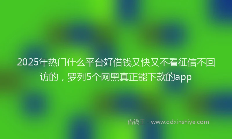 2025年热门什么平台好借钱又快又不看征信不回访的，罗列5个网黑真正能下款的app
