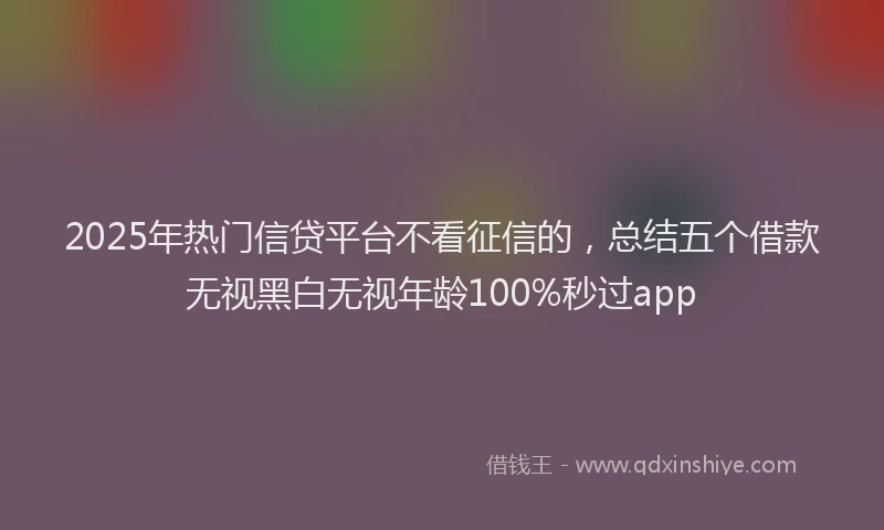 2025年热门信贷平台不看征信的，总结五个借款无视黑白无视年龄100%秒过app
