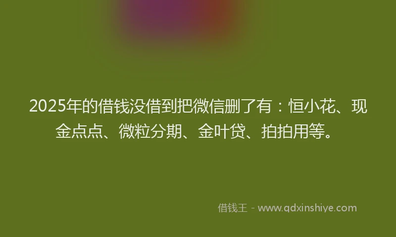 2025年的借钱没借到把微信删了有：恒小花、现金点点、微粒分期、金叶贷、拍拍用等。