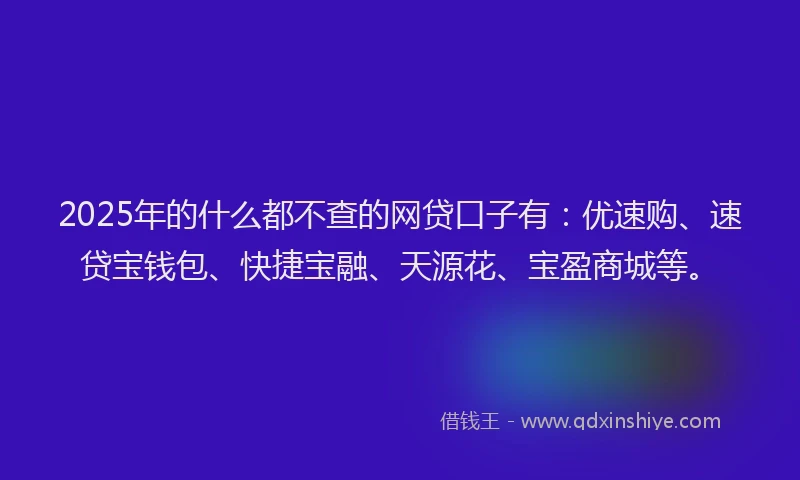 2025年的什么都不查的网贷口子有：优速购、速贷宝钱包、快捷宝融、天源花、宝盈商城等。