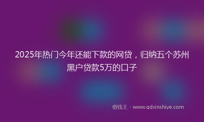 2025年热门今年还能下款的网贷，归纳五个苏州黑户贷款5万的口子