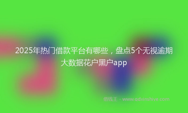2025年热门借款平台有哪些，盘点5个无视逾期大数据花户黑户app