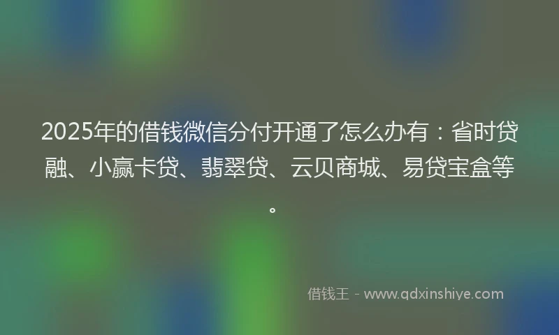 2025年的借钱微信分付开通了怎么办有：省时贷融、小赢卡贷、翡翠贷、云贝商城、易贷宝盒等。