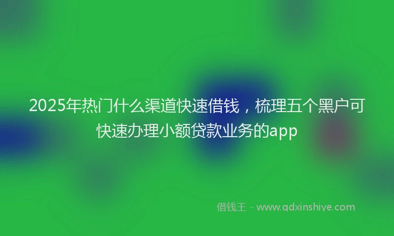 2025年热门什么渠道快速借钱，梳理五个黑户可快速办理小额贷款业务的app