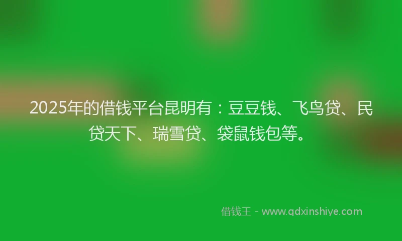 2025年的借钱平台昆明有：豆豆钱、飞鸟贷、民贷天下、瑞雪贷、袋鼠钱包等。