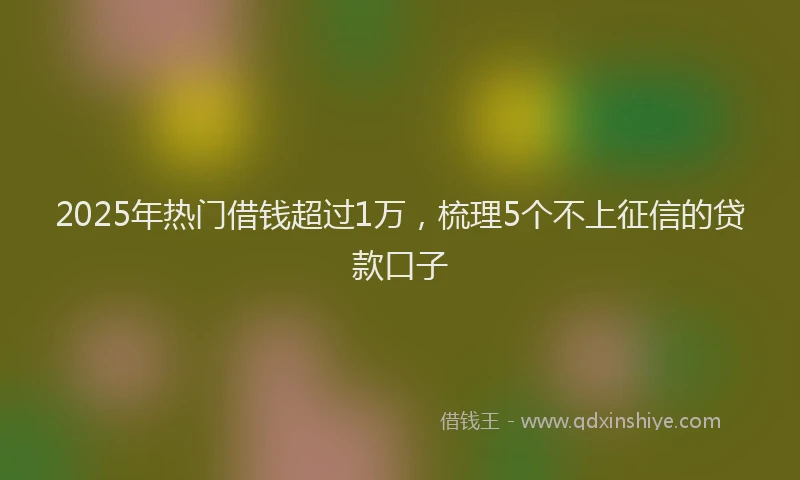 2025年热门借钱超过1万，梳理5个不上征信的贷款口子