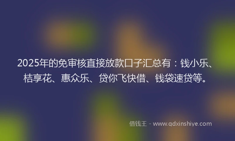 2025年的免审核直接放款口子汇总有：钱小乐、桔享花、惠众乐、贷你飞快借、钱袋速贷等。