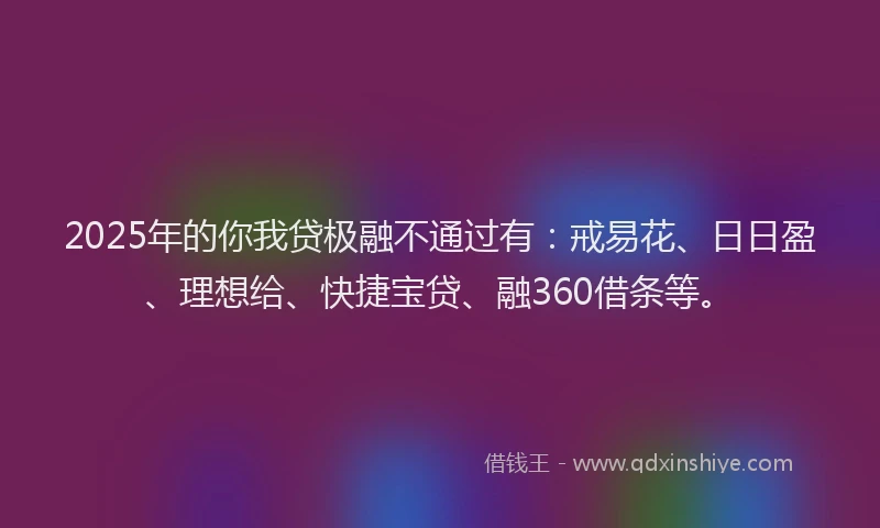 2025年的你我贷极融不通过有：戒易花、日日盈、理想给、快捷宝贷、融360借条等。