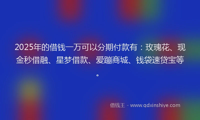 2025年的借钱一万可以分期付款有：玫瑰花、现金秒借融、星梦借款、爱蹦商城、钱袋速贷宝等。