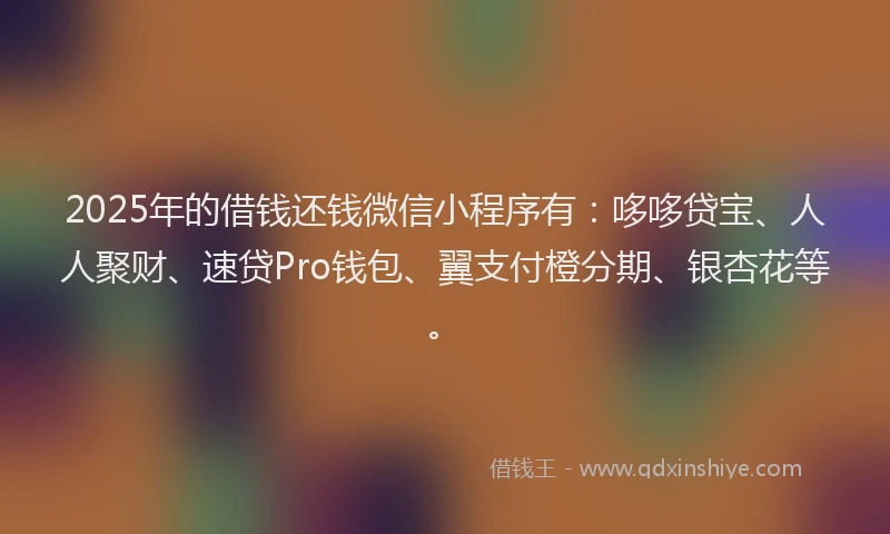 2025年的借钱还钱微信小程序有：哆哆贷宝、人人聚财、速贷Pro钱包、翼支付橙分期、银杏花等。