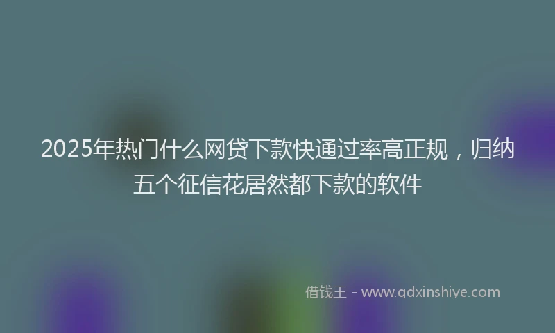 2025年热门什么网贷下款快通过率高正规，归纳五个征信花居然都下款的软件