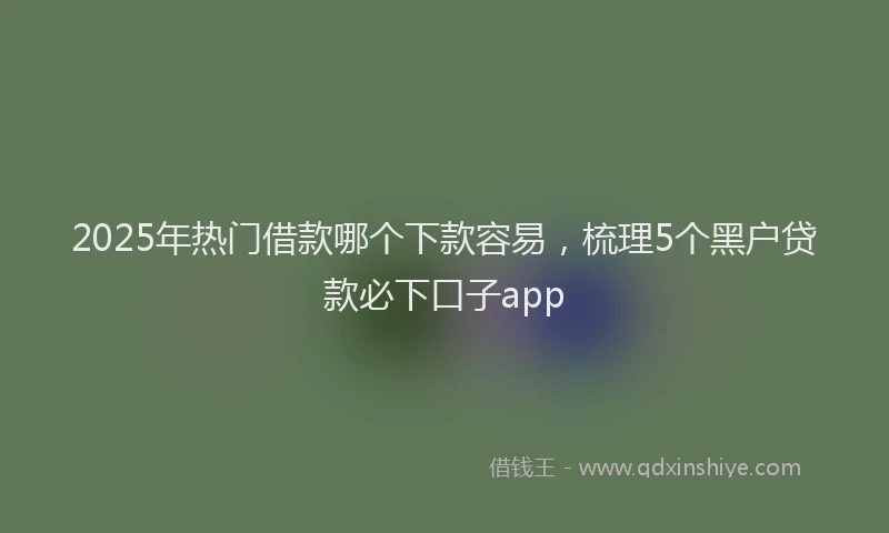 2025年热门借款哪个下款容易，梳理5个黑户贷款必下口子app