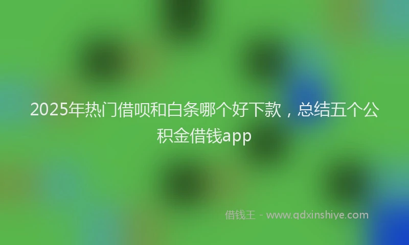 2025年热门借呗和白条哪个好下款，总结五个公积金借钱app