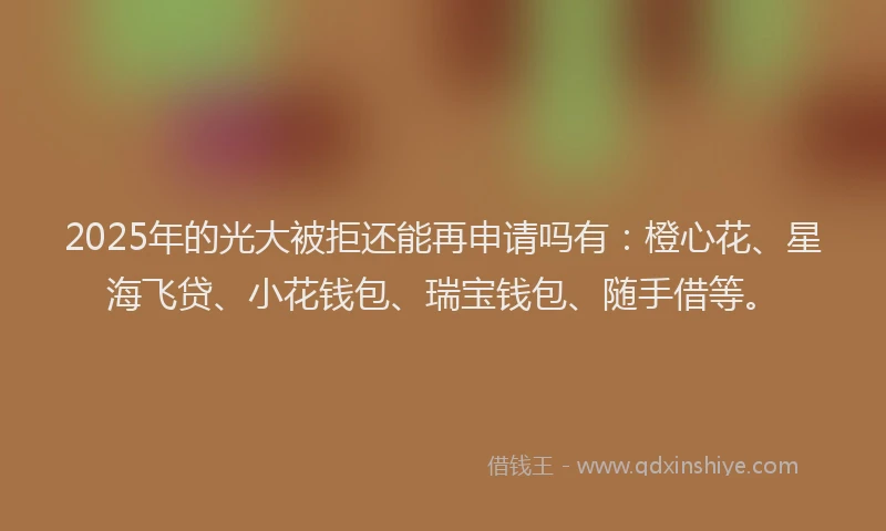 2025年的光大被拒还能再申请吗有：橙心花、星海飞贷、小花钱包、瑞宝钱包、随手借等。