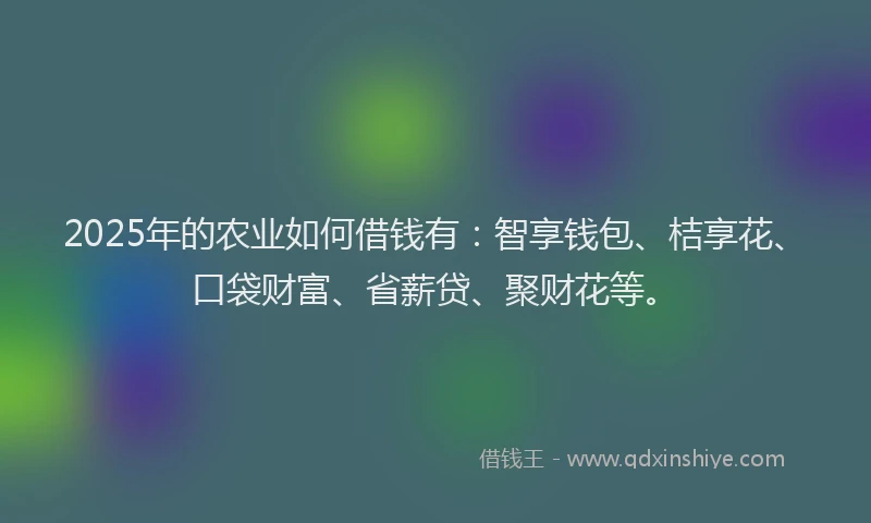 2025年的农业如何借钱有：智享钱包、桔享花、口袋财富、省薪贷、聚财花等。