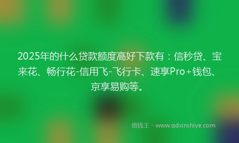 2025年的什么贷款额度高好下款有：信秒贷、宝来花、畅行花-信用飞-飞行卡、速享Pro+钱包、京享易购等。