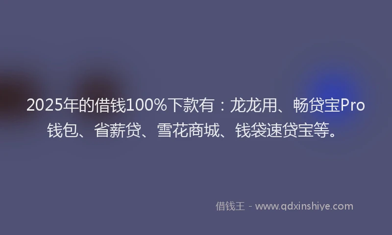 2025年的借钱100%下款有：龙龙用、畅贷宝Pro钱包、省薪贷、雪花商城、钱袋速贷宝等。
