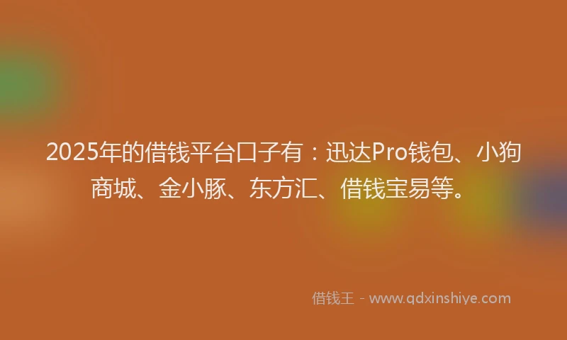 2025年的借钱平台口子有：迅达Pro钱包、小狗商城、金小豚、东方汇、借钱宝易等。