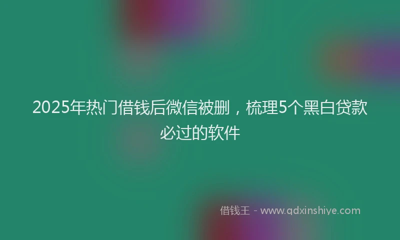 2025年热门借钱后微信被删，梳理5个黑白贷款必过的软件